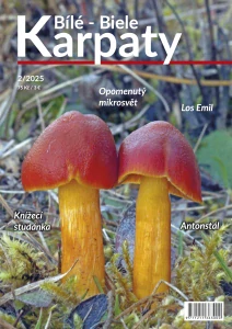 časopis Bílé - Biele Karpaty 2/2025