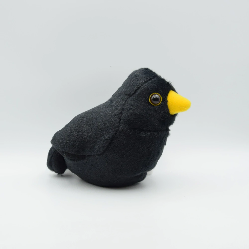 Zpívající ptáček - Kos