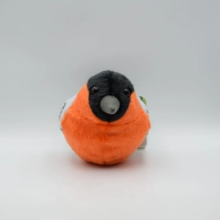 Zpívající ptáček - Hýl