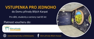 Vstupenka pro jednoho (pro děti, studenty a seniory nad 65 let)