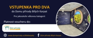 Vstupenka pro dva (pro jakoukoliv věkovou kategorii)