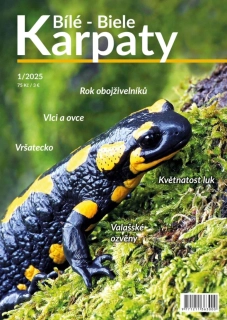 časopis Bílé - Biele Karpaty 1/2025