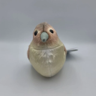 Zpívající ptáček - Slavík